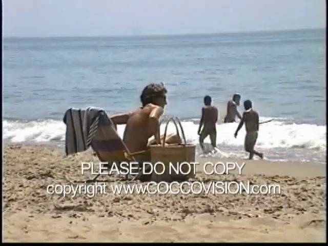 Nudist Videos Brads California Dreamers 3 - 2